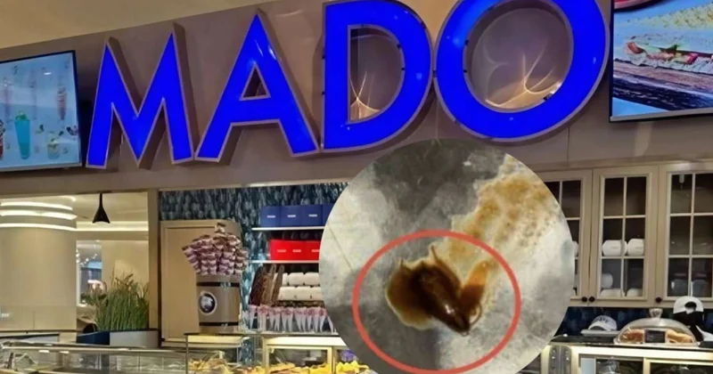 “Mado”da müştəriyə "tarakanlı" şorba verdilər FOTO