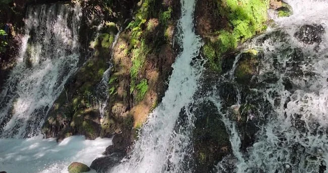 Yarpaqlarda gizlənən qədim eşq dramı Harbiye şəlaləsindən axır... Apollonun toxuna bilmədiyi Dəfnənin sirri nədir? Video
