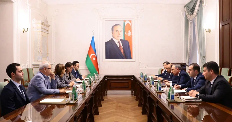 Kamran Əliyev İCMP rəhbəri ilə itkin düşmüş şəxslər üzrə əməkdaşlığı müzakirə edib