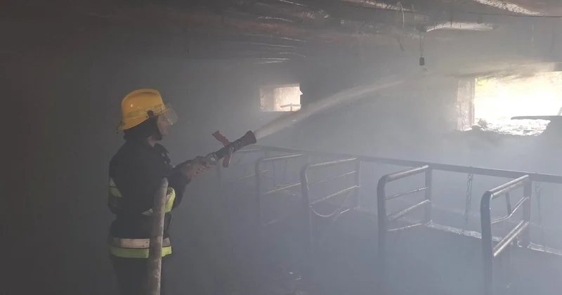 Şərurda 16.5 ton ot bağlaması yanıb