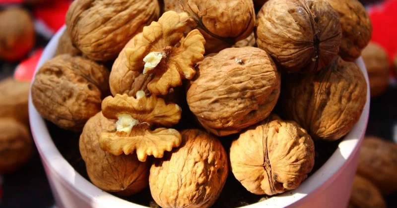 Qoz yeməklə arıqlamağın sirri Alimlərdən yeni araşdırma