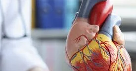 Stent qoyulan xəstələrin etdiyi səhvlər Kardioloq xəbərdarlıq edir