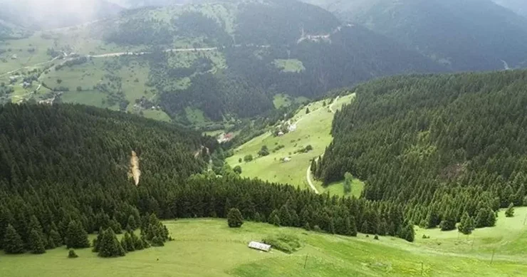 Yaylaqda torpaq davası qətliama çevrildi