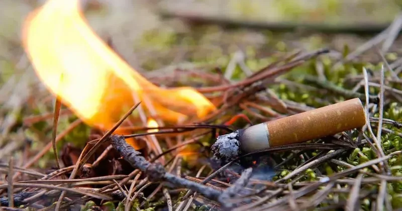 МЧС Азербайджана: Один тлеющий окурок может стать причиной масштабного пожара