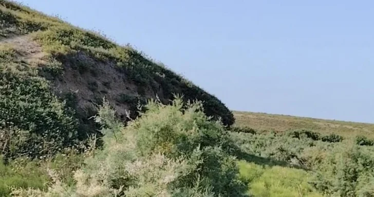 В Джалилабаде обнаружено новое археологическое поселение эпохи неолита и энеолита