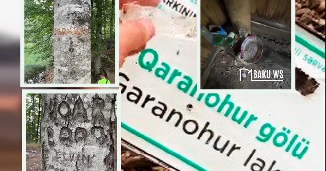 100 illik ağaclara nömrə yazdılar, lövhələri sındırdılar Qaranohur gölü