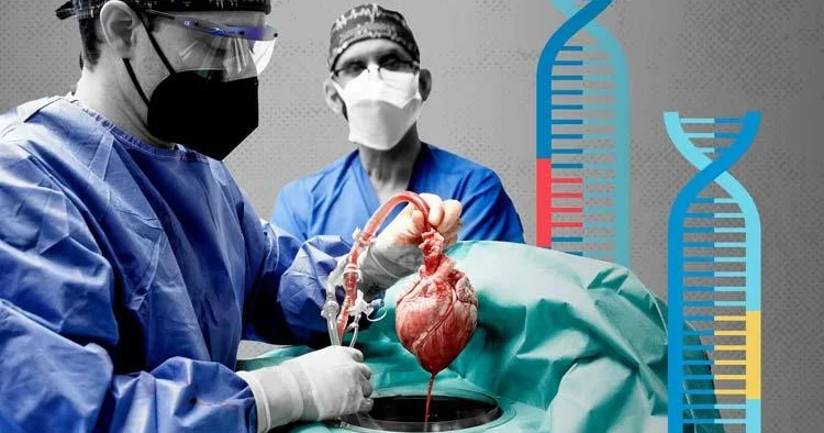 Azərbaycanda donorluq haqqında real infrastruktur yaradılmayıb Professor