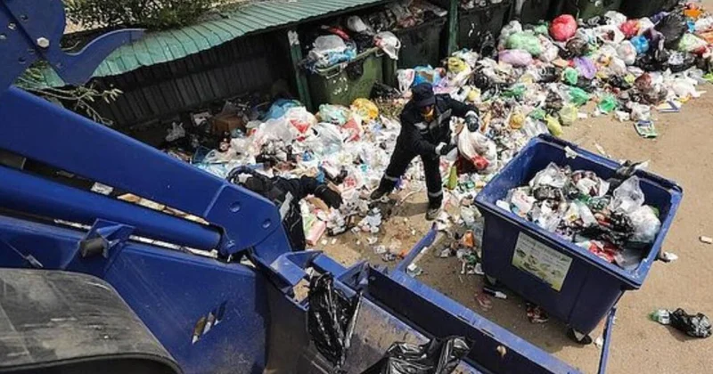 115 min manatı bilmədən zibilliyə atdı