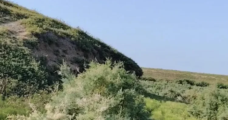 Cəlilabadda qədim yaşayış yeri aşkarlandı FOTO