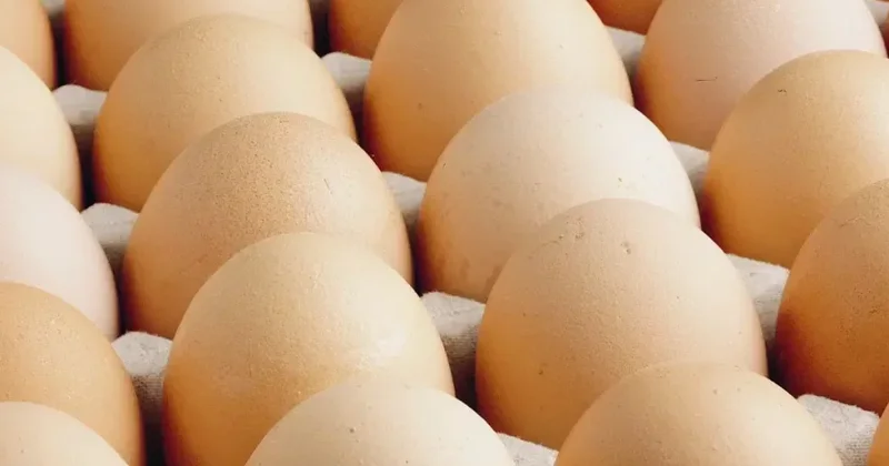 Yumurta satışında yeni qaydalar qüvvədədir