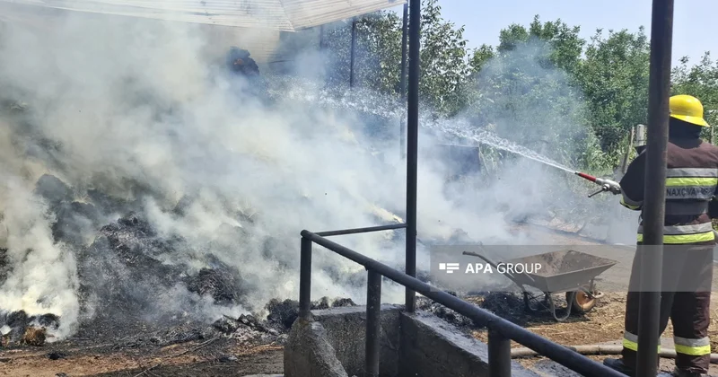 Şərurun Xələc kəndində tövlə və ot bağlamaları yanıb FOTO