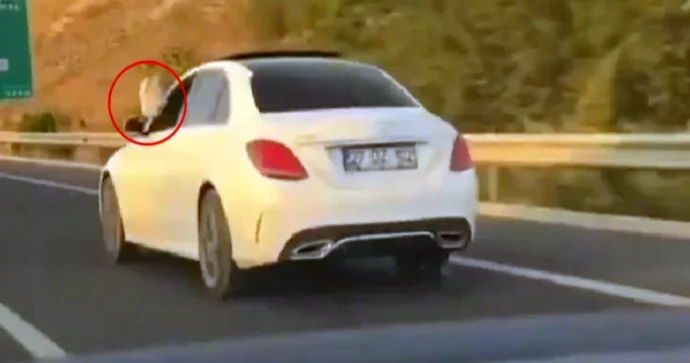Baş prokurorun oğlu ayaqlarını çölə çıxarıb maşın sürdü VİDEO