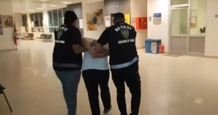 İstanbulda fişənglə meşəni yandıran şəxs yaxalanıb VİDEO