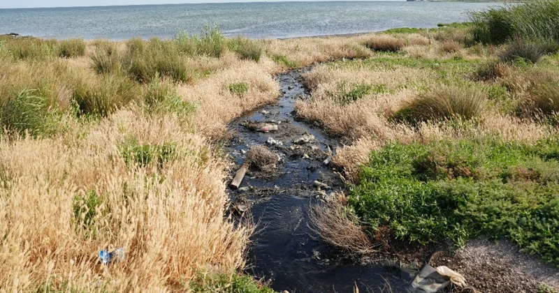 Экологическое бедствие на побережье Каспия: сточные воды, мусор и полное бездействие исполнительной власти наши беды