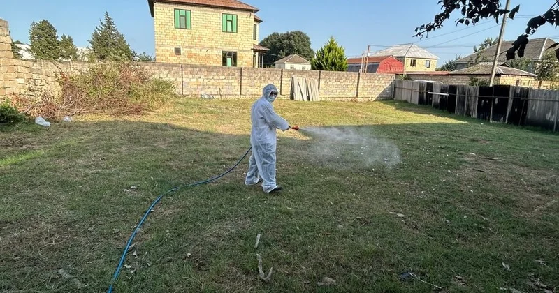 Azərbaycanda təhlükəli virus yayılıb? RƏSMİ CAVAB