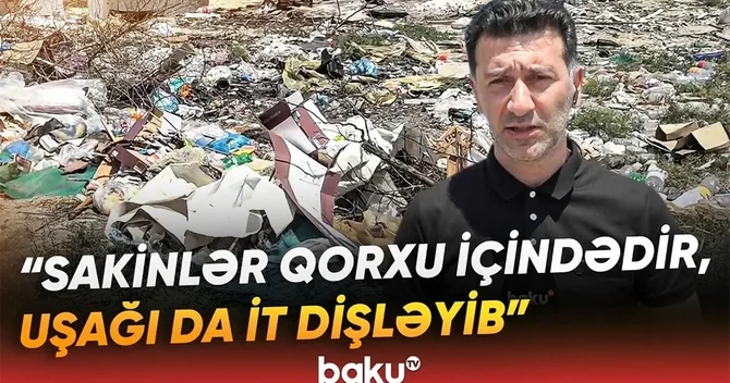 Pirşağıda zibil problemi: Üfunət, sahibsiz itlərin hücumu...