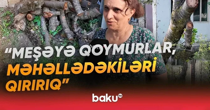 30 ildən çoxdur qaz üzünə həsrət qalan sakinlər: Gilas ağacını kəsib yandırırıq