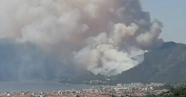 Antalya və Muğlada meşə yanğını Video