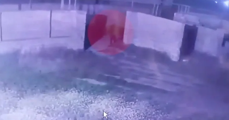 Bakıda evlərdən oğurluq kameraya düşdü ANBAAN VİDEO