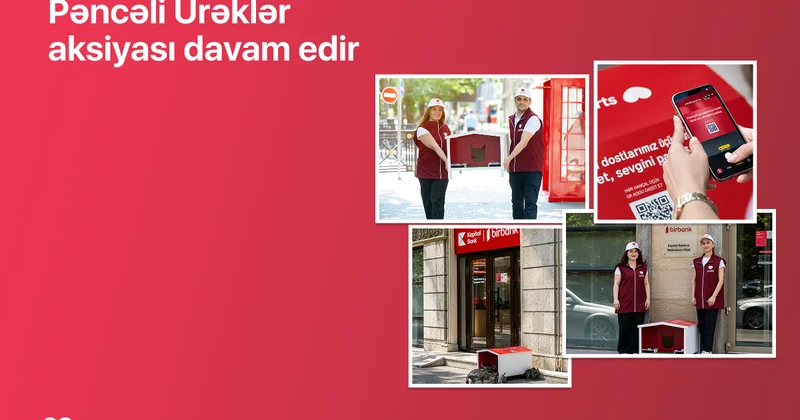 “Pəncəli Ürəklər” aksiyası çərçivəsində sahibsiz heyvanlar üçün yuvaların sayı 35 ə çatdı