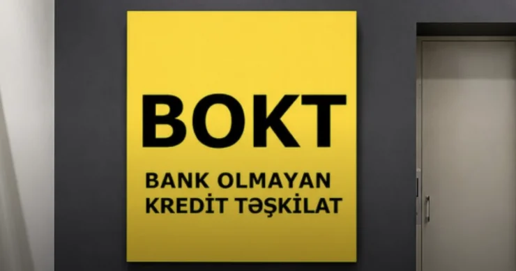 ​ Unudulmuş maliyyə sektoru... Kredit ittifaqları nədən çökməyə doğru gedir?