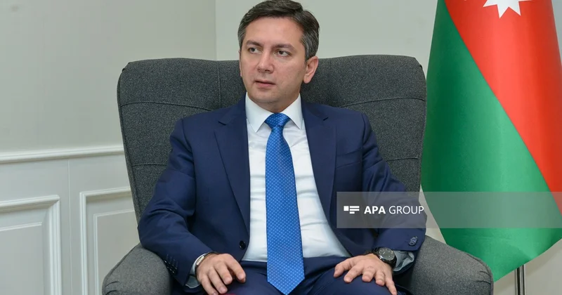 Yalçin Rəfiyev: COP29 da qəbul edilmiş Bakı İqlim Maliyyəsi Hədəfinə çatmaqla bağlı hələlik optimist mənzərə yoxdur