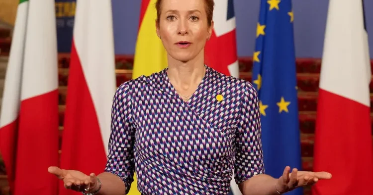 Ukraynaya qoşun göndərmək hər ölkənin öz seçimidir Aİ
