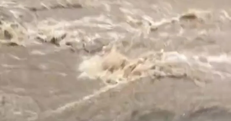 Сильный ливень затопил крупный город в Китае ВИДЕО
