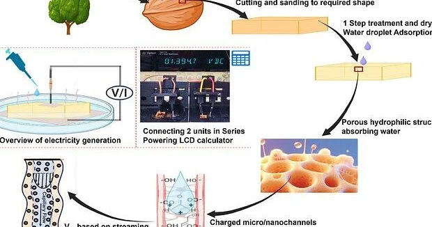 Ученые получили электричество из ореховой скорлупы