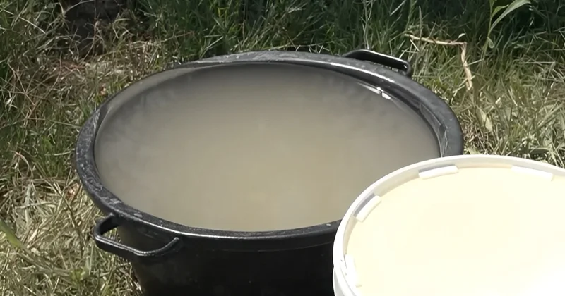 Sabirabad sakinləri içməli suya həsrət qalıblar