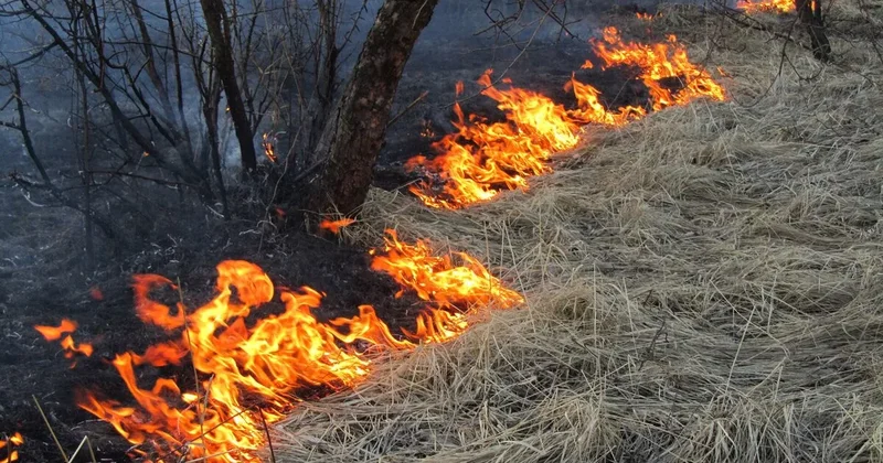 В селе Мельхем задержан поджигатель ФОТО