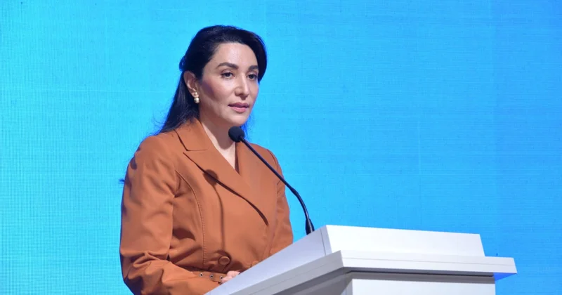 Сабина Алиева призвала мир активизировать усилия
