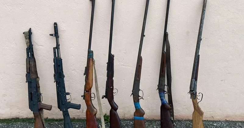 Полиция Азербайджана за сутки изъяла 8 единиц оружия и 1,3 кг наркотиков