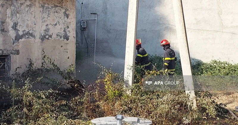 Lənkəranda yanğının ətraf ərazilərə keçməsinin qarşısı alınıb