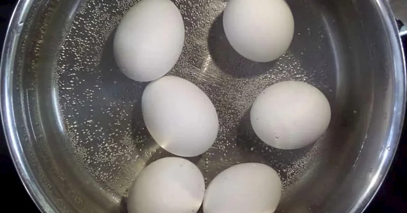 Yumurtanı qabığı çatlamadan qaynatmağın 5 üsulu: Bu detallara diqqət edin