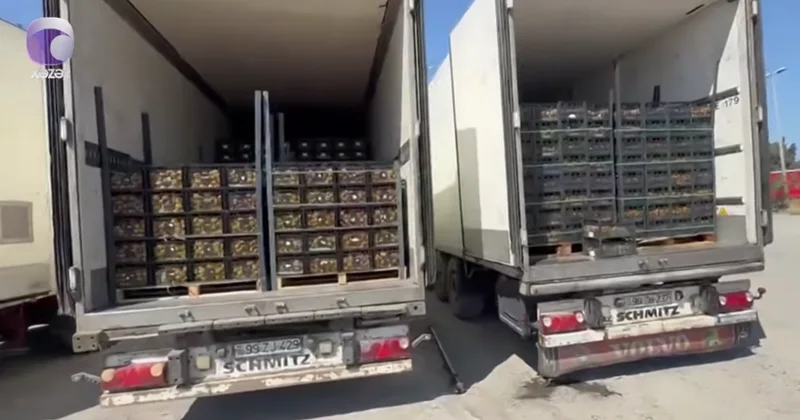 Azərbaycanlı sürücülər sərhəddə qaldılar Video