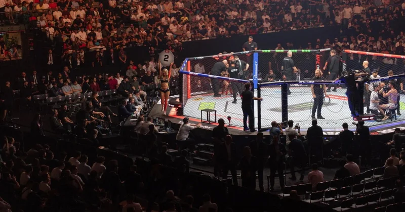 Назван самый зрелищный дивизион UFC в 2026 году
