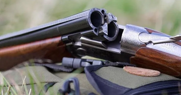 2 avtomat silahı, 6 tüfəng aşkarlanıb