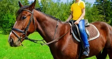 Füzulidə atdan yıxılan 12 yaşlı uşaq dünyasını dəyişdi