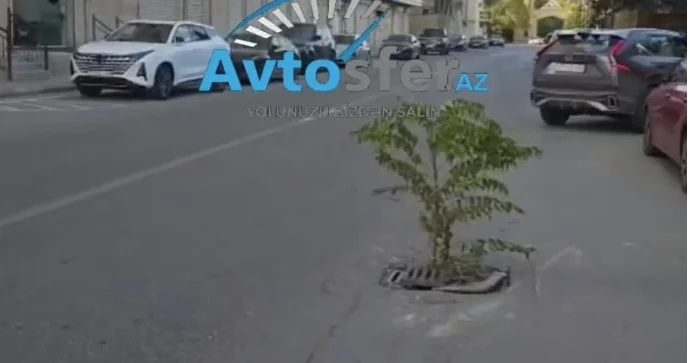 Yollardakı açıq lyuklar maşınlara ziyan vurur TƏLİMÇİDƏN ÇAĞIRIŞ VİDEO
