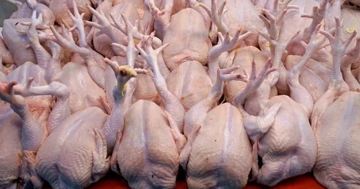Дискуссия о курином мясе: профессор против производителей