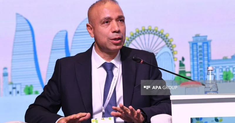 Nazir müavini: Əvvəllər neft və qazdan toplanmış maliyyə indi yaşıl keçid prosesinə yönəldilir