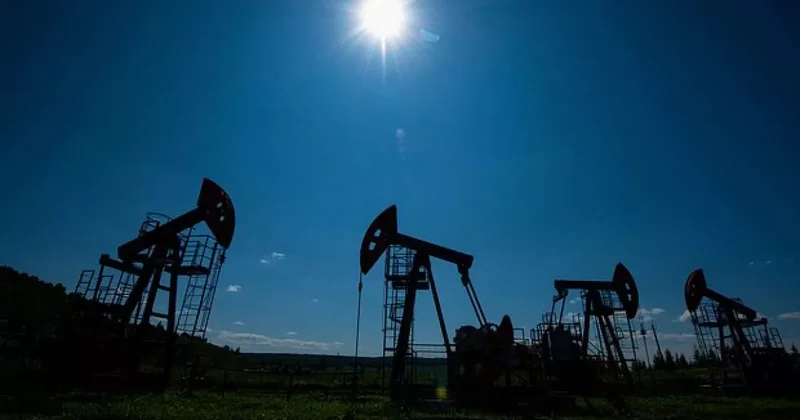 Индия не снизила импорт российской нефти