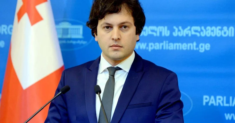 Gürcüstanda inqilab planına imkan verilməyəcək Kobaxidze