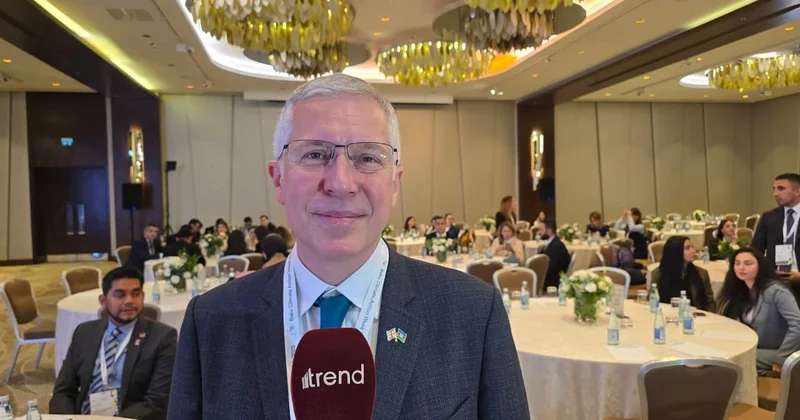 Интерес британских инвесторов и компаний к Азербайджану велик Фергус Олд