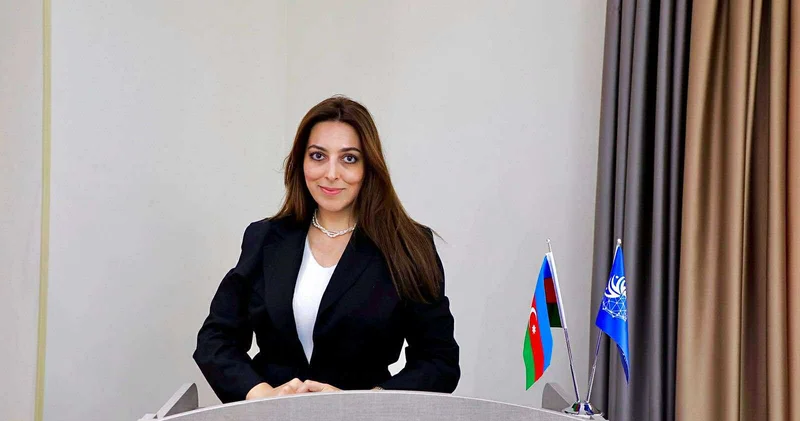 “Cənab Prezident çıxışında sülhün təmin olunduğu bir dünya arzuladığını çatdırdı”