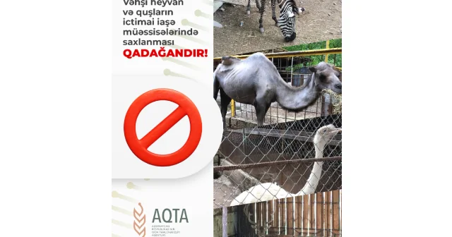 Bu heyvanların nümayiş etdirilməsi qanunla qadağandır!