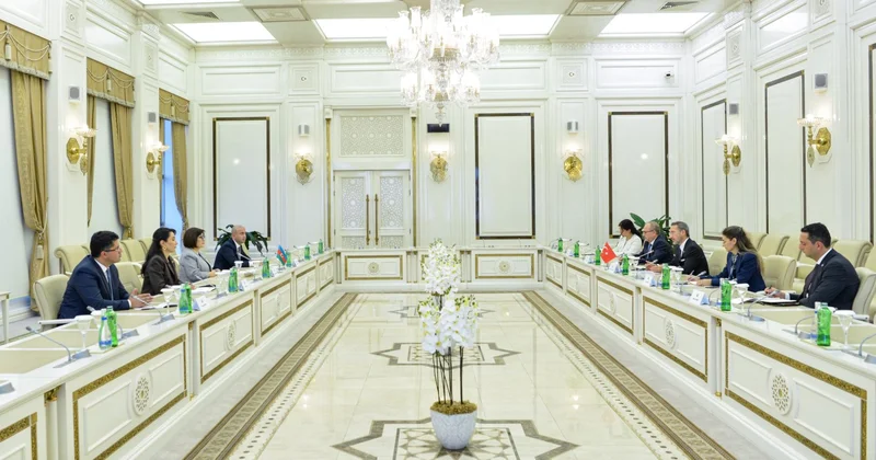 Сахиба Гафарова встретилась с председателем Организации по правам человека и равенству Турции (ФОТО)