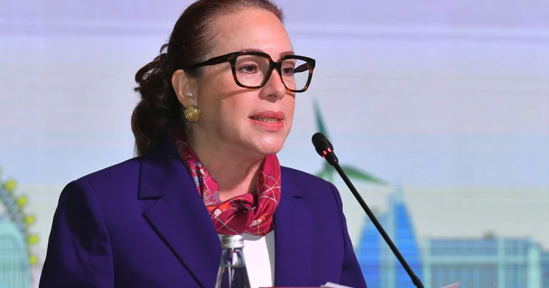 Maria Fernanda Espinoza: Azərbaycan iqlim dəyişikliyi ilə bağlı çox effektiv işlər görür