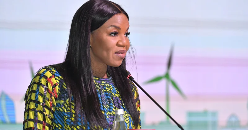 Damilola Ogunbiyi: Bütün ölkələr bərabər şəkildə iqlim dəyişikliyi ilə mübarizə aparmalıdır